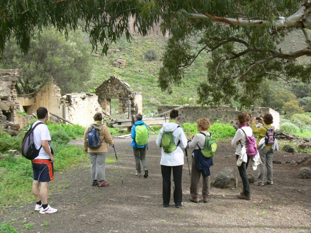 personas con sus mochilas de pie debajo de un arbol