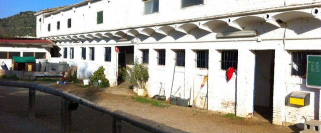 Cuadras de caballos