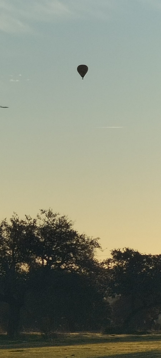 Avis de Alejandro concernant Vol en montgolfière avec déjeuner autour de Doñana