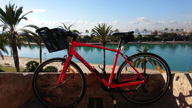 Fitness bikes