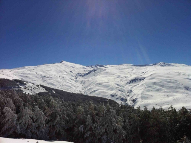 sierra nevada llena de nieve.jpeg