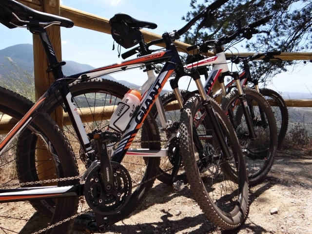 varias mountain bikes.jpg