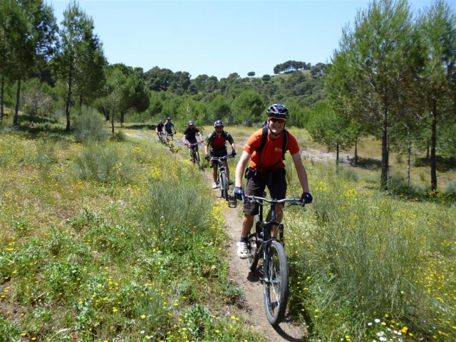 powl-wild-flowerssierra-mtb.jpg