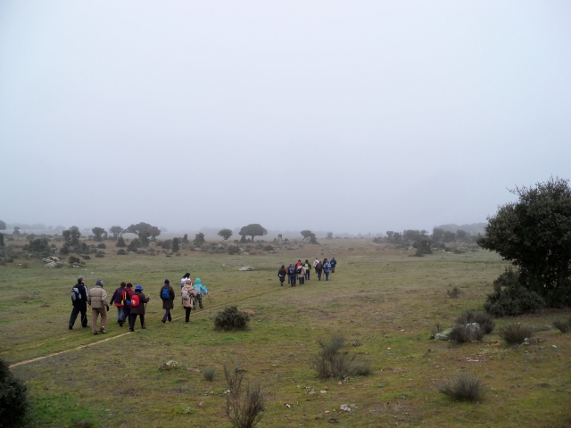 Excursion on a cloudy day 