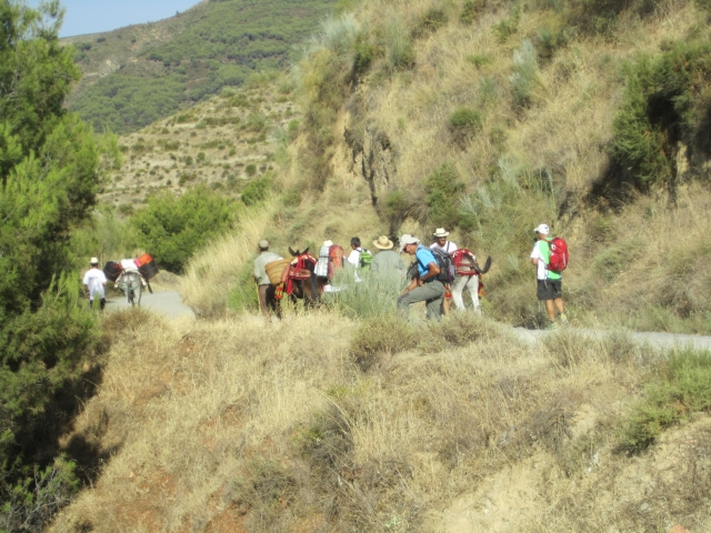 img-4565granalpina.jpg