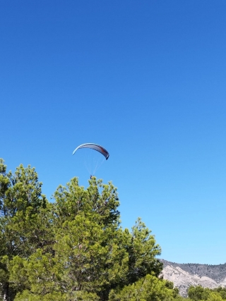 res_o-59859-parapente_de_joan-roig-segui_16969322674990.jpg