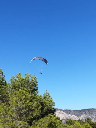 res_o-59859-parapente_de_joan-roig-segui_16969322685716.jpg
