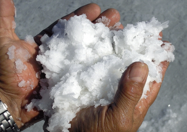  Salt in your hands 