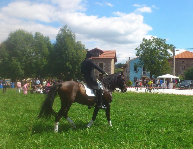 Jinete en evento a caballo