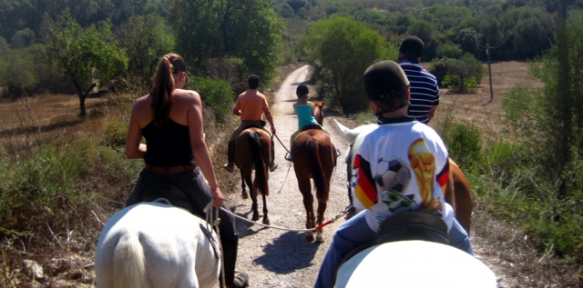 caballo05mallorca-horses.jpg