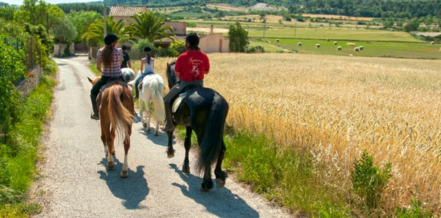caballo12mallorca-horses.jpg