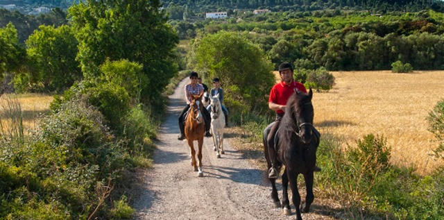 caballo14mallorca-horses.jpg