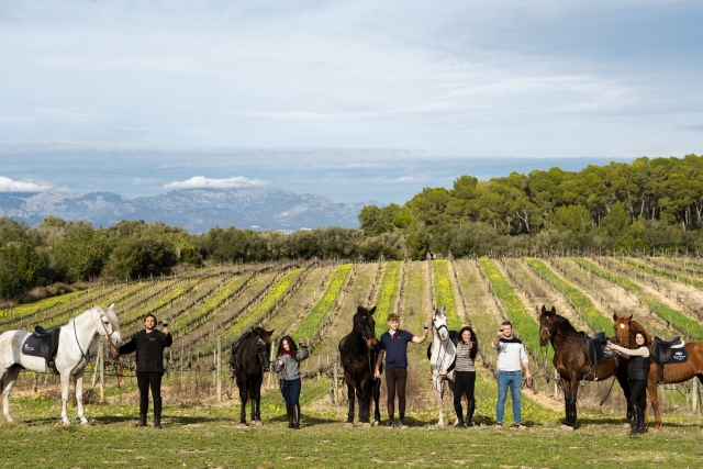  enjoying an equestrian day in mallorca 