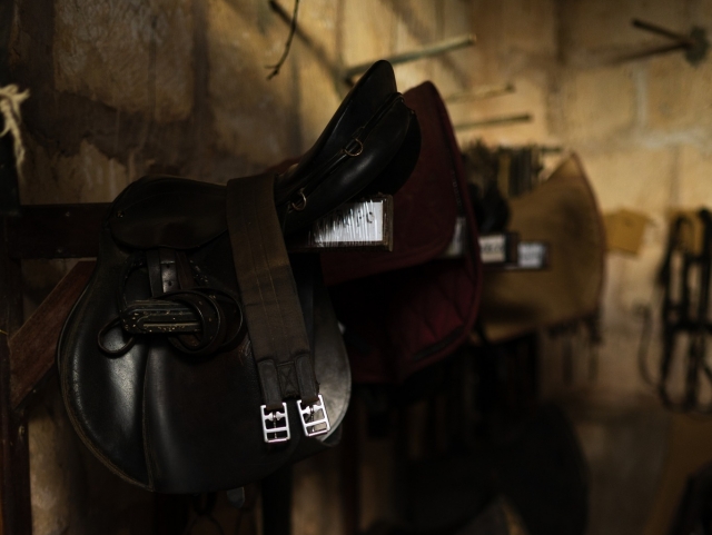  enjoying a ride on white horses