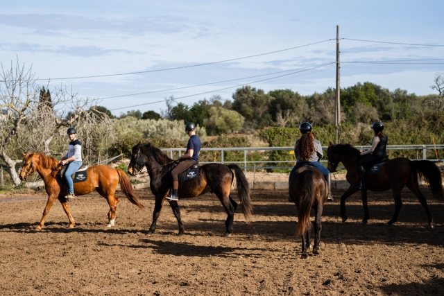  mallorca horses logo 