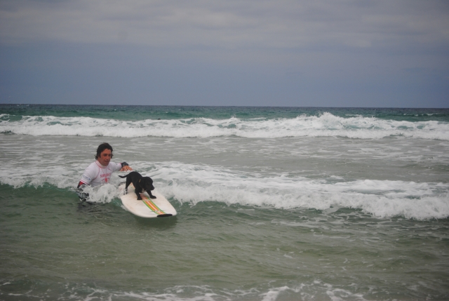  unser Hundesurfen 