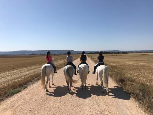 Convivencia con caballos