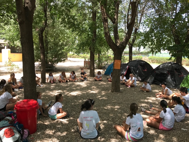 Convivencia