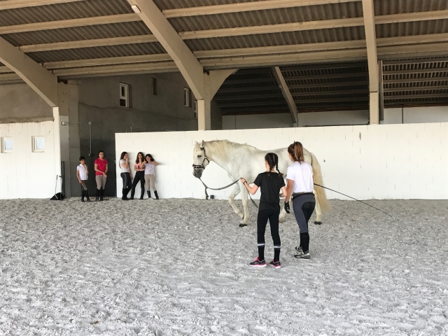 Actividades con caballos