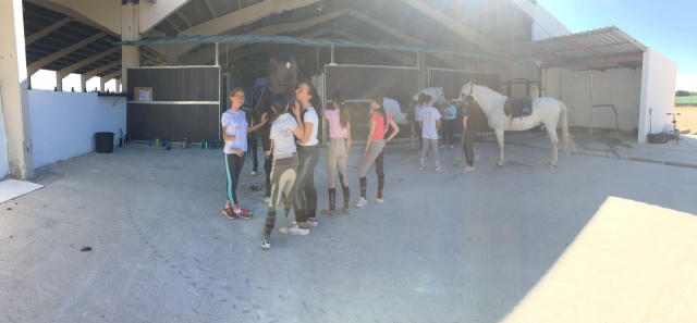 Actividades con caballos
