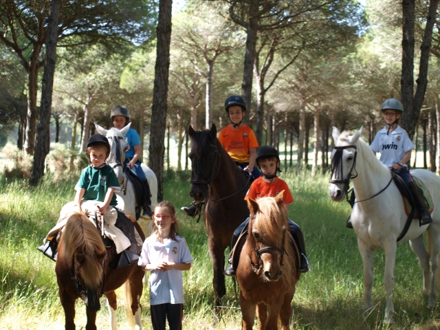 Caballos para los peques