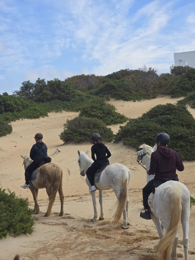 Bewertung von Antonio Über Reiten am Strand von Barrosa entlang, 2 Stunden