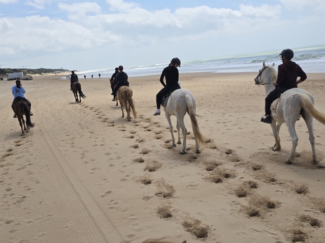 Bewertung von Lizeth Über Reiten am Strand von Barrosa entlang, 2 Stunden