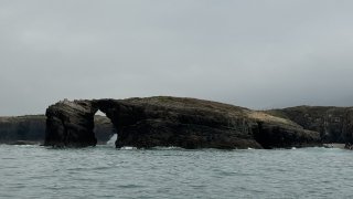 res_o-65428-paseos-en-barco_de_sabine-kenner_img-1507_17555899077056.jpeg