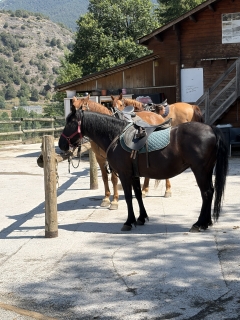 res_o-67613-rutas-a-caballo_de_mireia-rivera_17882521218596.jpeg