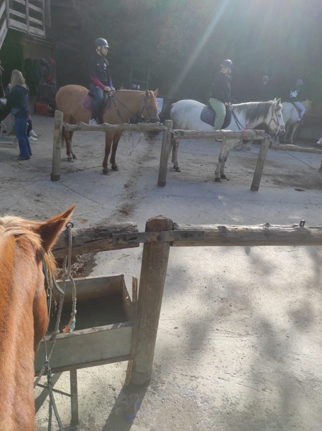 Opinião de Jose sobre Excursão a cavalo por La Massana, 1 hora