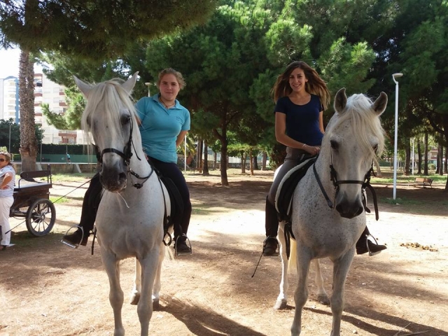 e-19719021-a-caballo-en-un-parque-de-gandia1525863871584.jpg