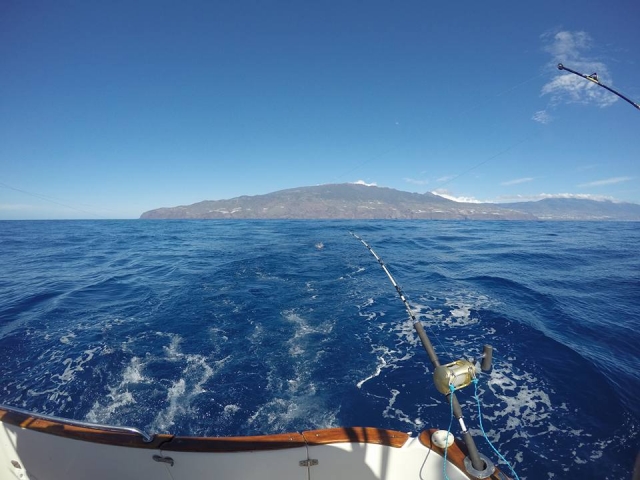 e-19719074-pesca-desde-barco-en-la-palma15217339155321.jpg