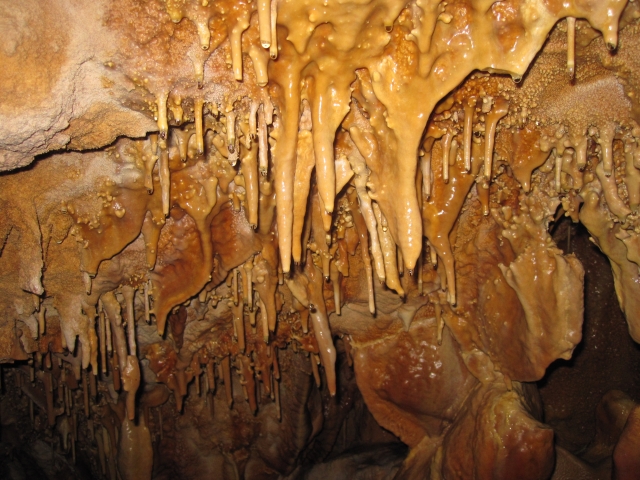  Zone rocciose 