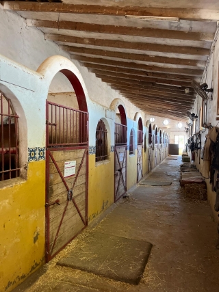 res_o-65301-rutas-a-caballo_de_ana-hernandez_570402b7-1773-451d-8c16-f0f84f7693c4_17550087877373.jpeg