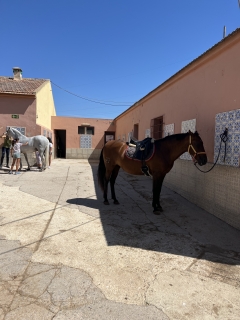 res_o-65301-rutas-a-caballo_de_ana-hernandez_img-8907_17550088129586.jpeg