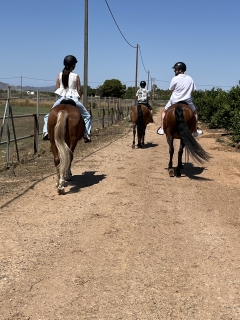 res_o-65301-rutas-a-caballo_de_ana-hernandez_img-8925_17550088047263.jpeg