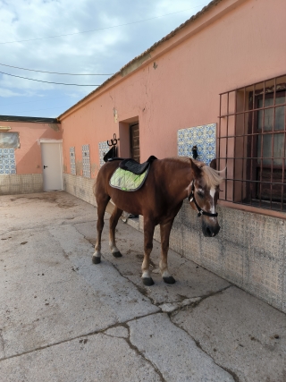 res_o-67053-rutas-a-caballo_de_christophe-burel_17823203002340.jpg