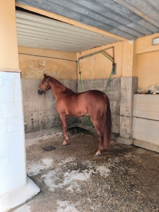 res_o-67053-rutas-a-caballo_de_christophe-burel_17823203205362.jpg