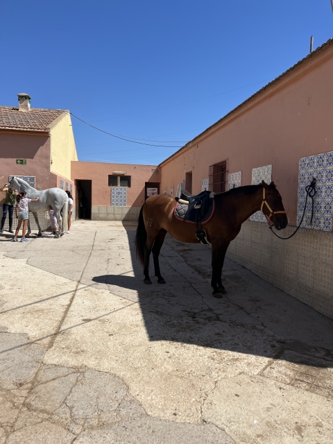 Opinión de Victoria sobre Paseo a caballo en Cartagena con fotos y vídeo 1 h