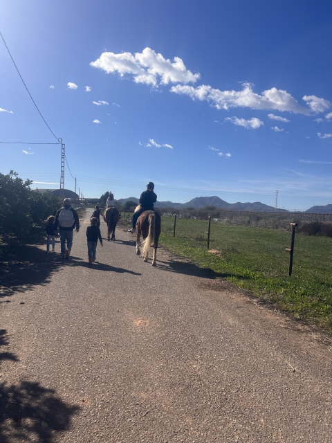Opinione di Liliya su Passeggiata a cavallo a Cartagena con foto e video 1 ora