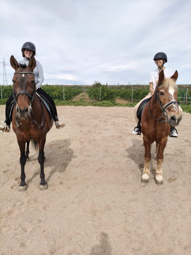 Avis de Hannah concernant Équitation à Carthagène avec photos et vidéo 1 heure