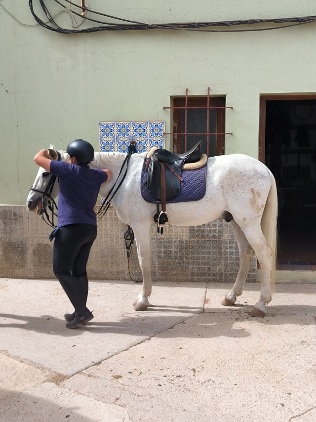 Opinión de DARYL sobre Paseo a caballo en Cartagena con fotos y vídeo 1 h