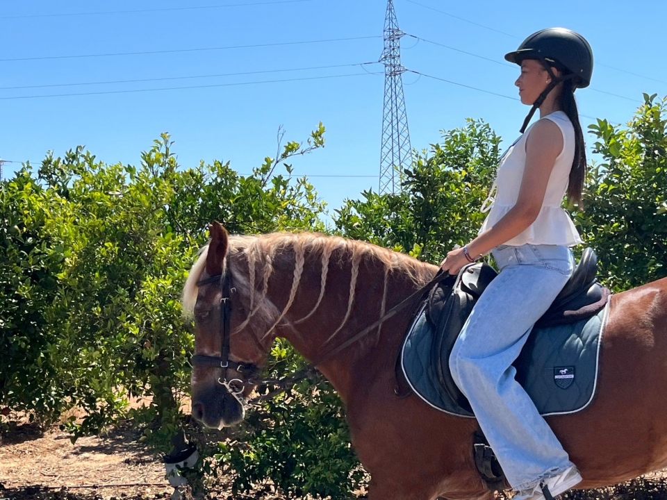 res_o-65301-rutas-a-caballo_de_ana-hernandez_599d56d9-2955-43f2-87f7-70cac1d84629_17550087842778.jpeg