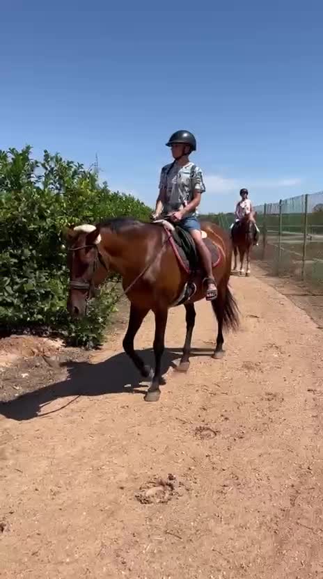 Review of Andrea about Horseback riding in Cartagena with photos and video 1 hour