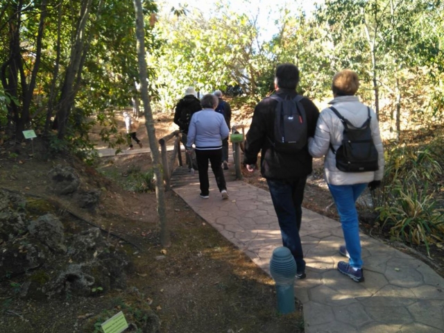 Walk along the trail 