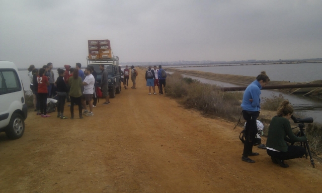 Ruta para observar a las aves