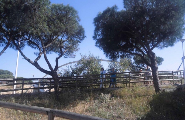  In the countryside 
