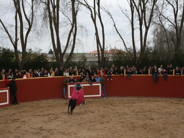 La plaza