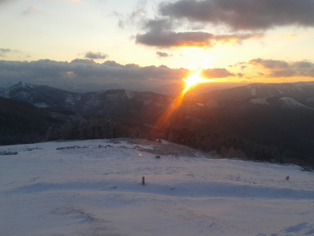 2012-02-07-18-sustraiak-natura.21.jpg