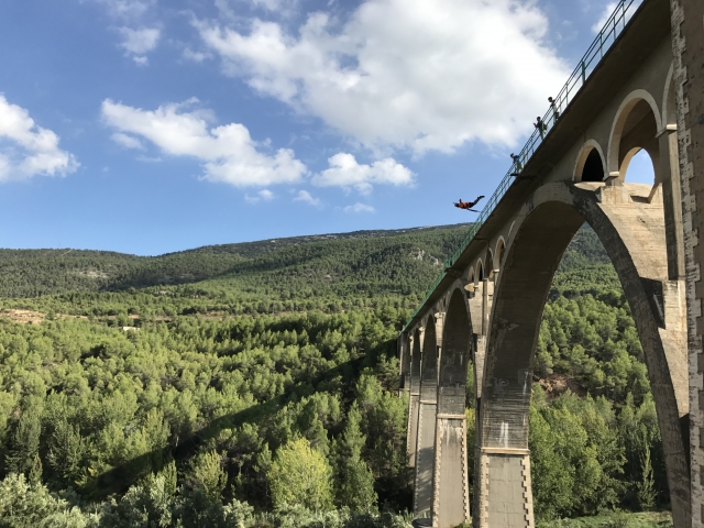 Preciosos entrono del puente